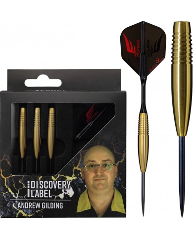 Cosmo Discovery Label Andrew Gilding Darts 24g